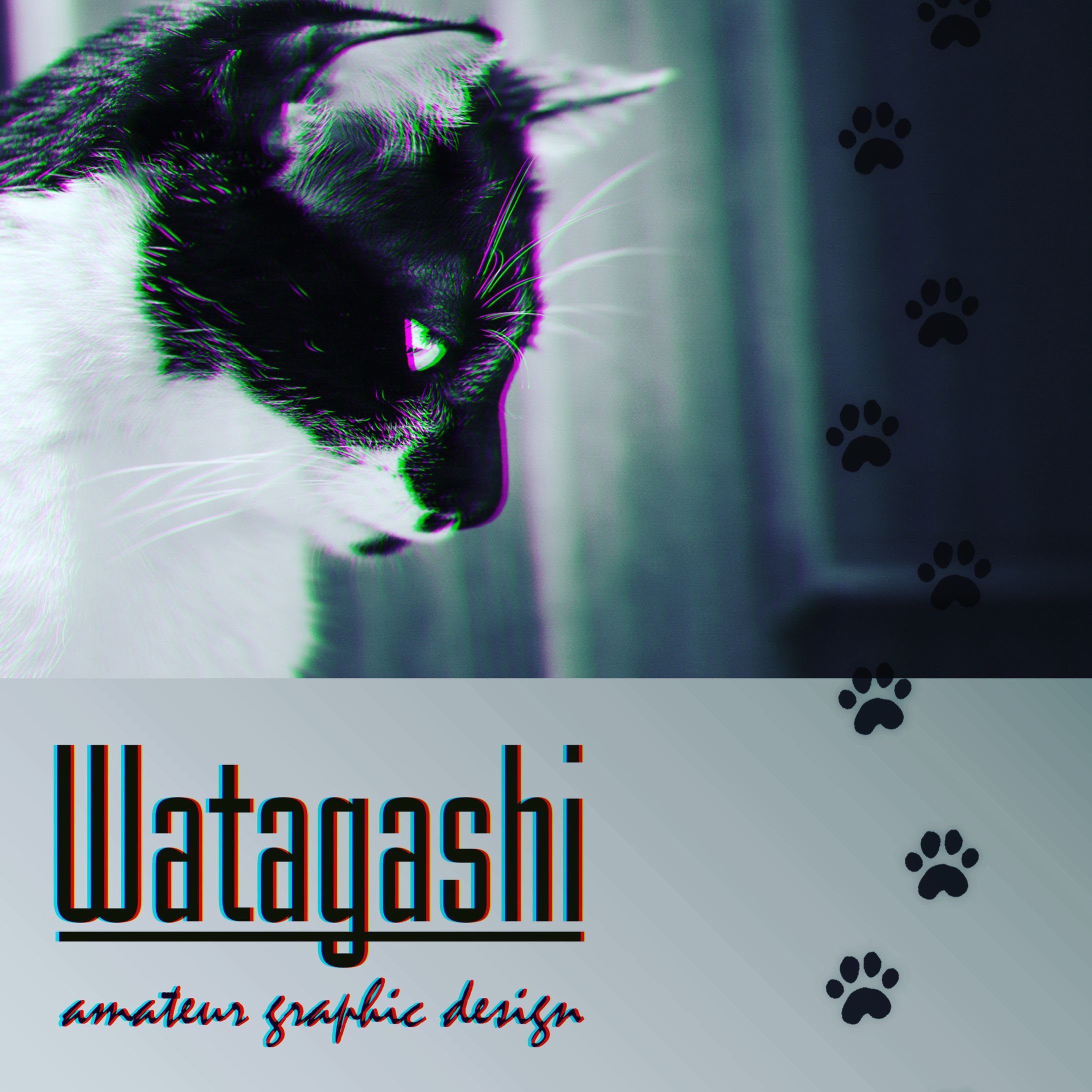 Book cover_free cat-1