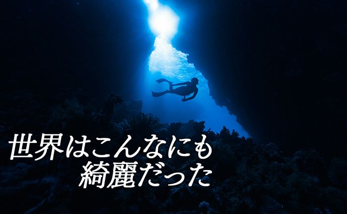 世界はこんなにも綺麗だった