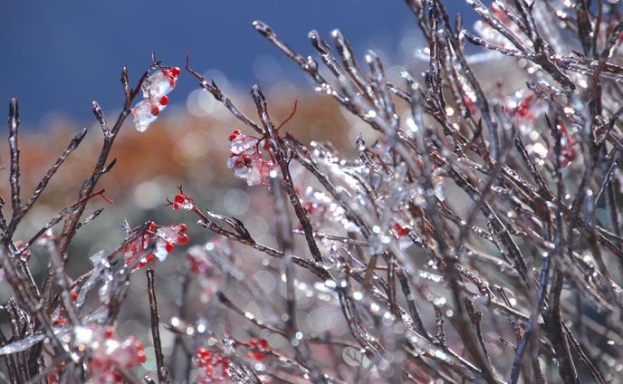 山と渓谷オンライン 紅葉写真コンテスト2023佳作「一瞬の輝き」