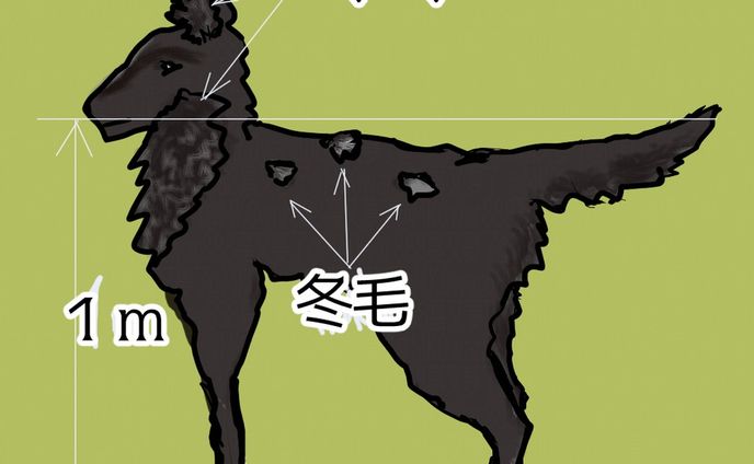 524.20230517：ランの回：訪ね犬
https://note.com/mk0war888/n/n6297508976d1
投稿しました。バースセイバー711号室記録帳BBSにて毎晩連載中の #小説 を　#note　マガジン「711号室」にて公開しています。

#暗夜迷宮　日記、
大規模怪異発生日記２３更新しました。
https://note.com/mk0war888/n/nf73fe869599e
スキ・フォロ・シェアしてくださると、うちのこがランダムでお礼を申しますので是非♡ 
話中の万禮一家は、
メンバーシップ「夢了の皿」会員の万禮様のオリジナル・キャラクターで
設定その他は会員様御本人と話し合っております。
（７１１号室出演者≒メンバーシップ会員様は常時募集中です♡）

万禮様の偶さか日記１５も併せてお読みいただくと解像度とエモさが跳満です。
https://note.com/la_show_mon/n/nff4116c7a8a5

#ごりごりごりっと芯減らし訓練　は、本日の７１１号室の挿絵、ラントゥ作の訪ね犬のビラ。
#一次創作 #digitalillustration #originalcharacter　#ARTISUL #clipstudiopaintpro
@note_ig_official
