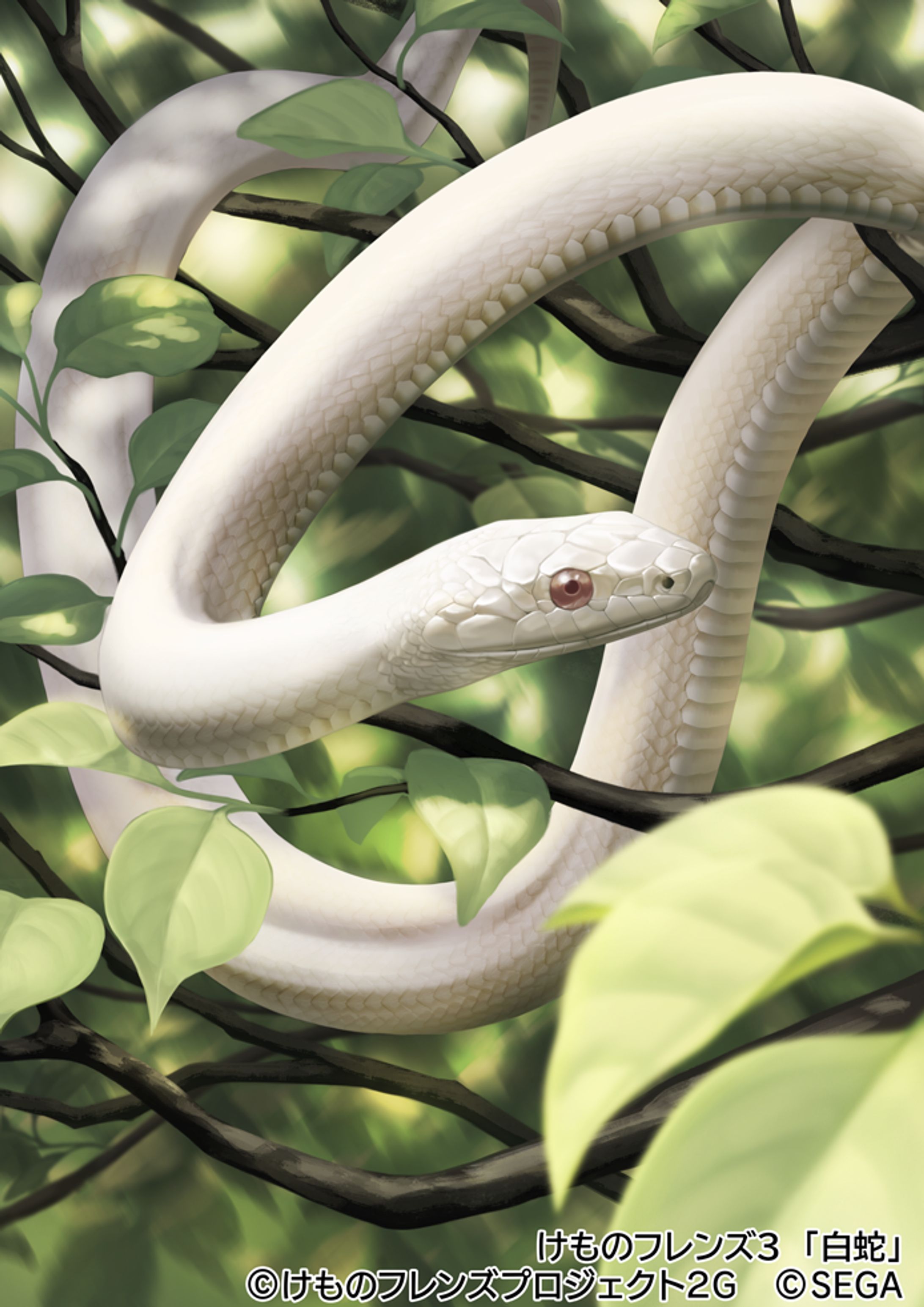 【けものフレンズ３】白蛇-1