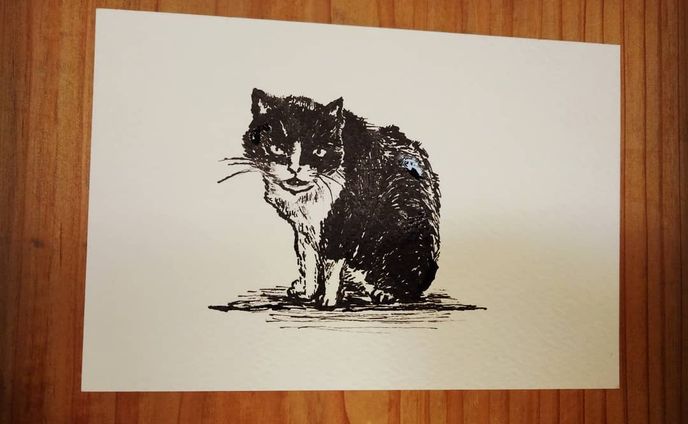 #一日一絵
No.003【 #猫】
◆
ご近所さんに可愛がってもらってる #野良猫 
実家猫のハチベーによく似た子
朝から下水管つまりで大騒ぎで
今日はさらにバタバタ…すぎた
制作時間20分
◆
#drawing #art #illustration
#painting #illust #analogart
#painting
#cat #catillustration
#ctrlzの効かない世界