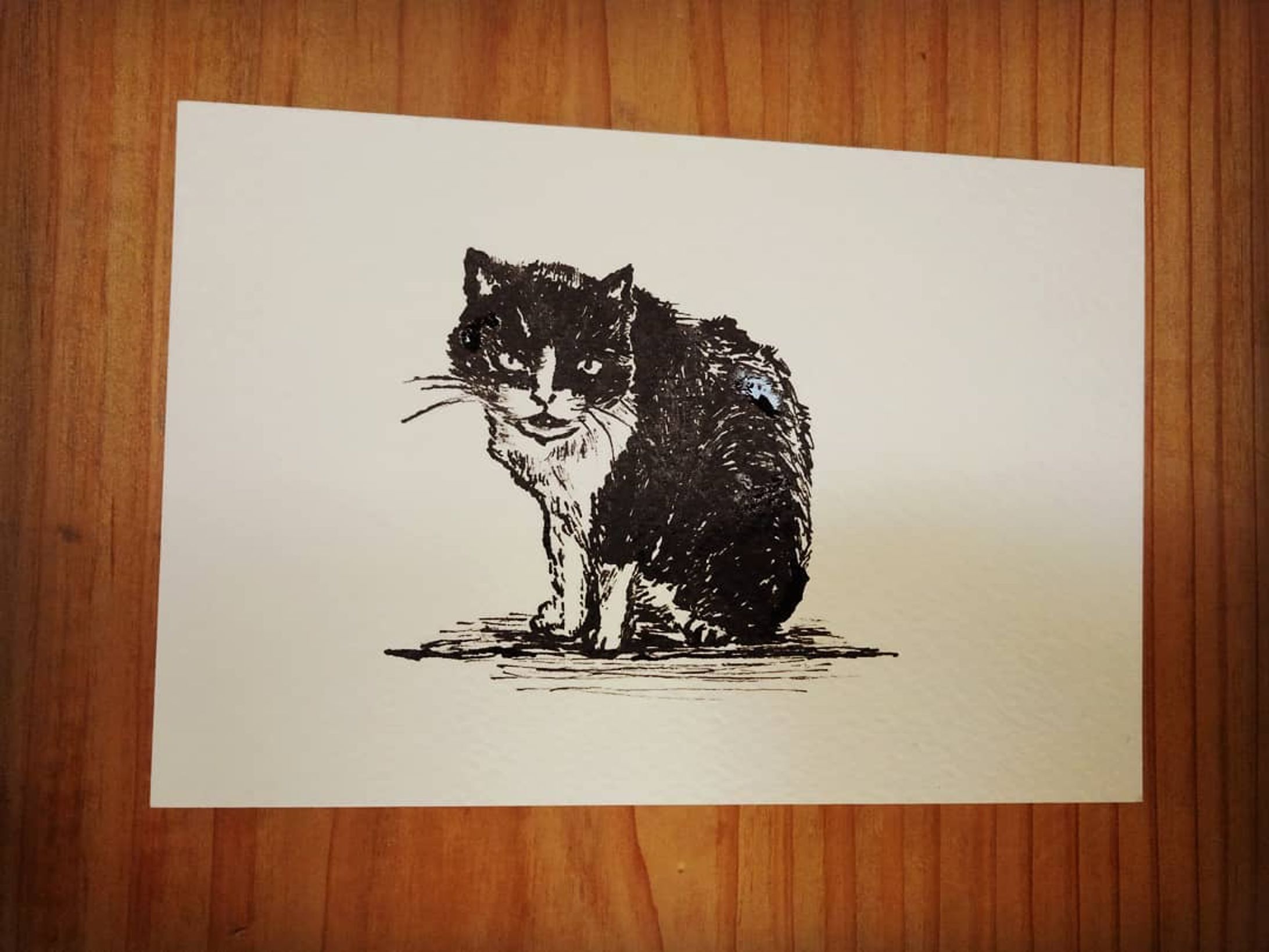#一日一絵
No.003【 #猫】
◆
ご近所さんに可愛がってもらってる #野良猫 
実家猫のハチベーによく似た子
朝から下水管つまりで大騒ぎで
今日はさらにバタバタ…すぎた
制作時間20分
◆
#drawing #art #illustration
#painting #illust #analogart
#painting
#cat #catillustration
#ctrlzの効かない世界-1