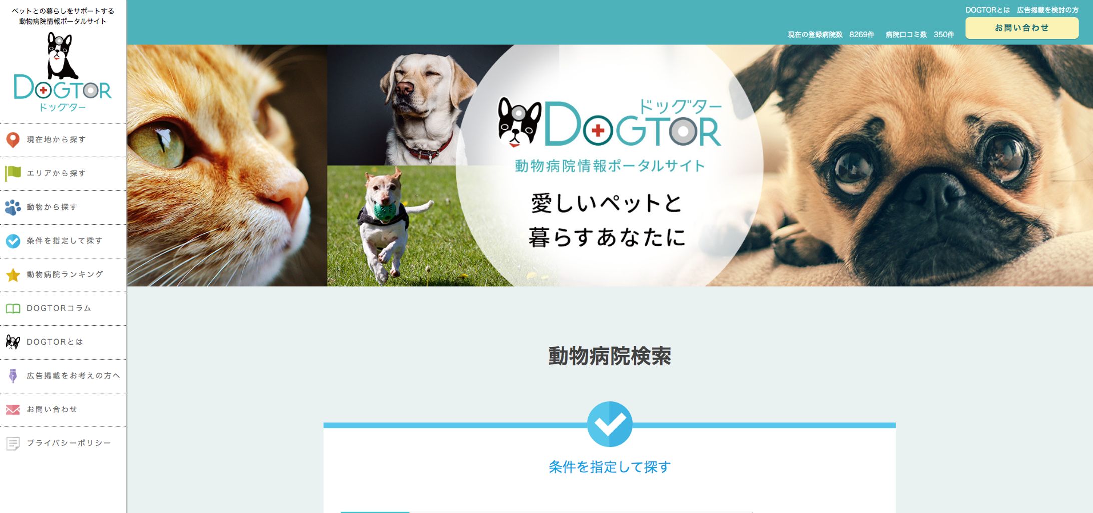 ドッグター / 動物病院情報ポータルサイト-1