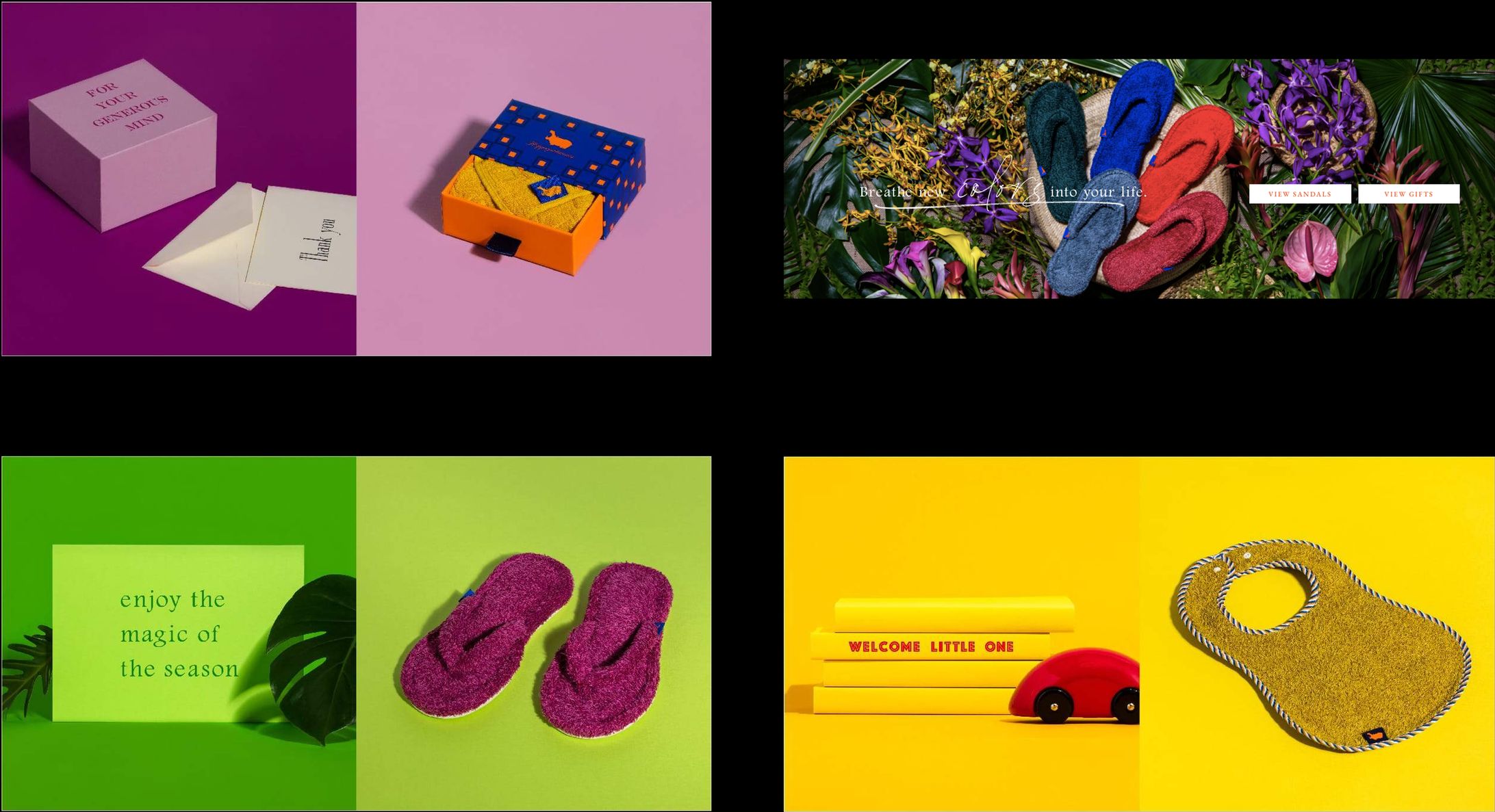 Hippopotamus -1