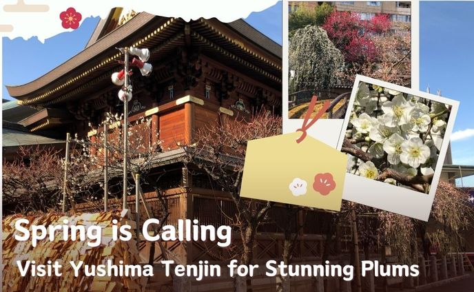  インスタグラム表紙デザイン【Yushima】