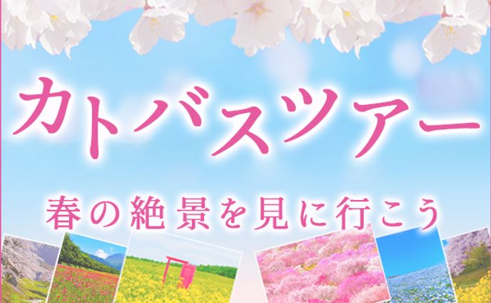 バナー：バスツアー