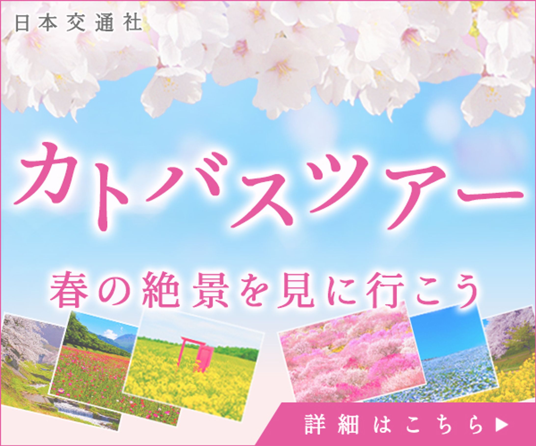 バナー：バスツアー-1