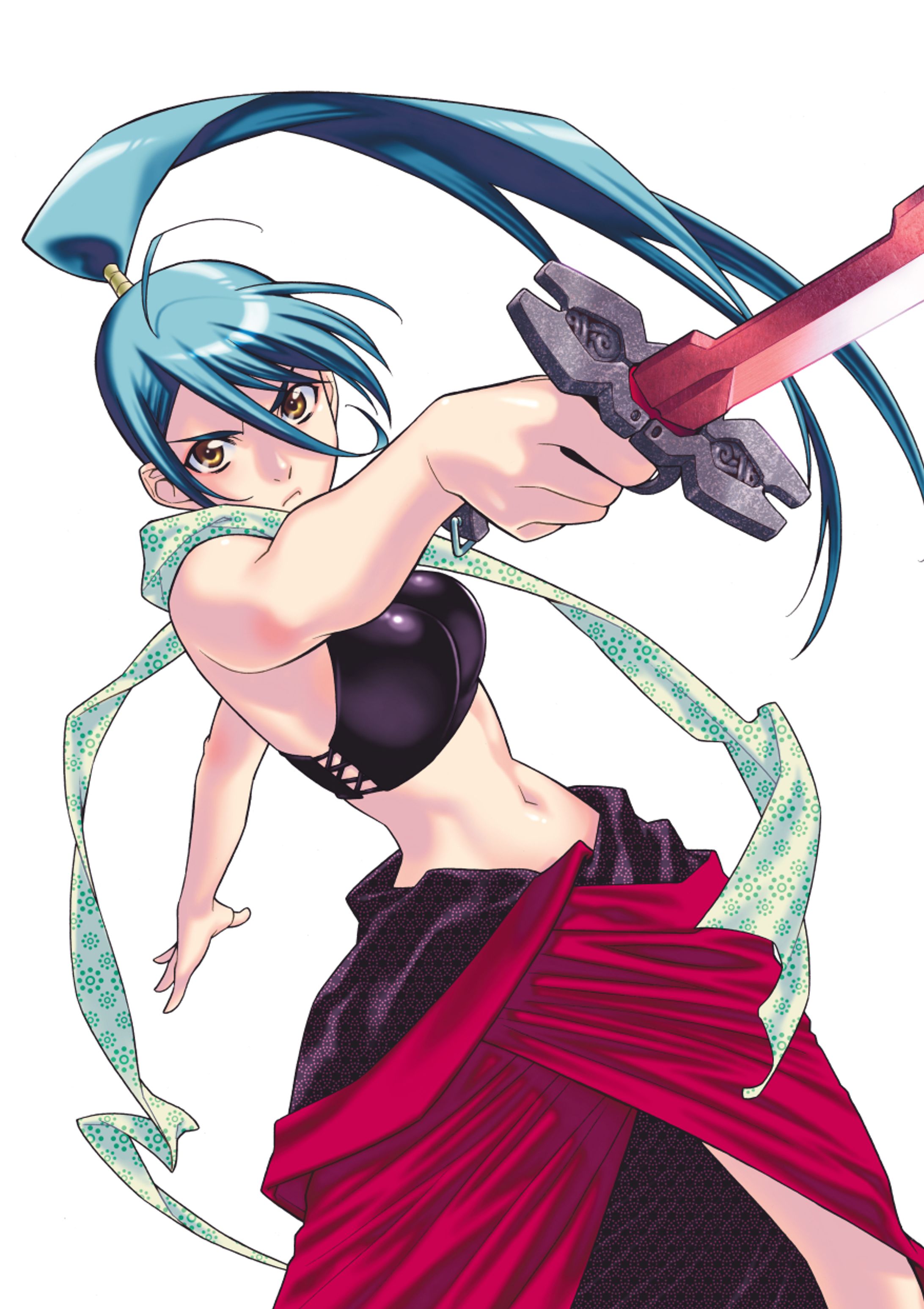 獣臣蔵1 Cover Illustration (2009)-1