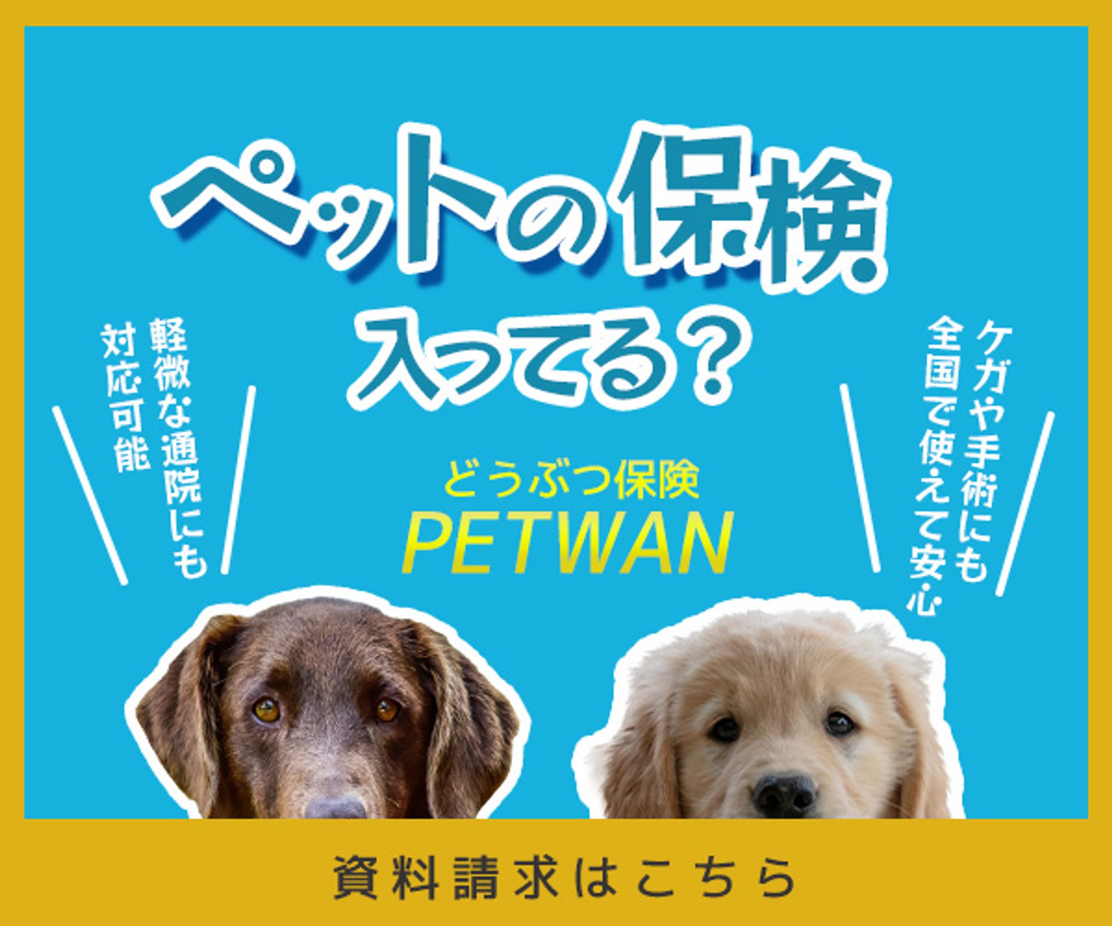 ペット保険バナー-1