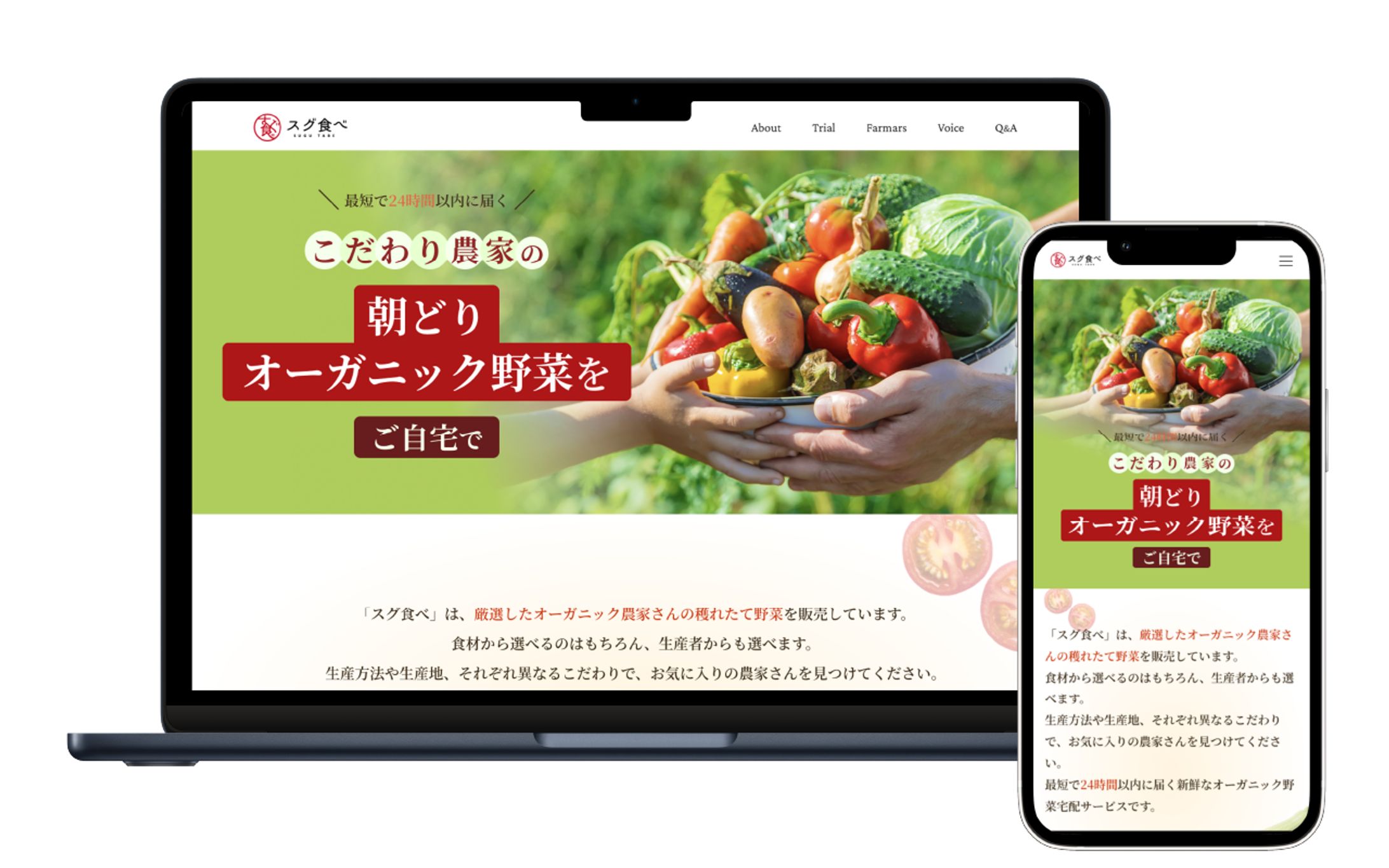 【学校課題】スグ食べ LPサイト-1