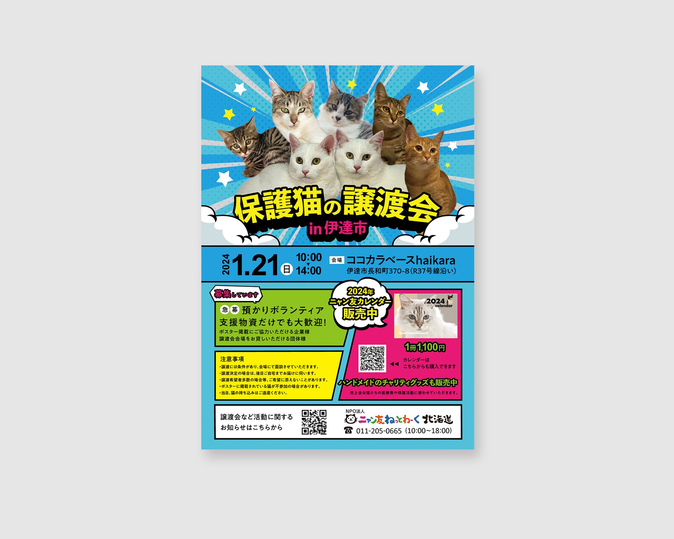 【実績】保護猫の譲渡会ポスター（2024年1月）-1