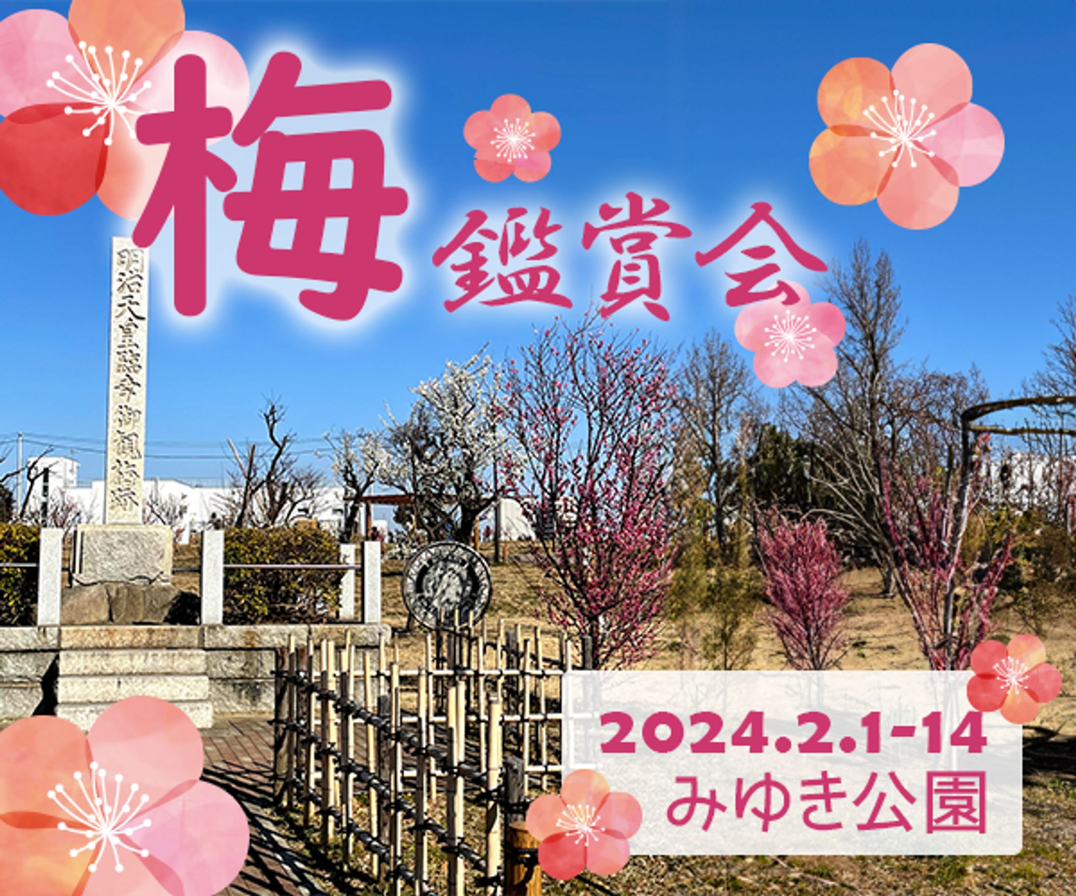 梅鑑賞会-1