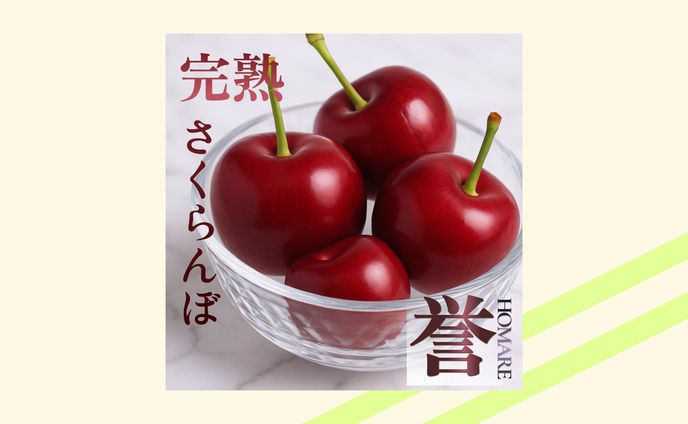 【バナー】誉様