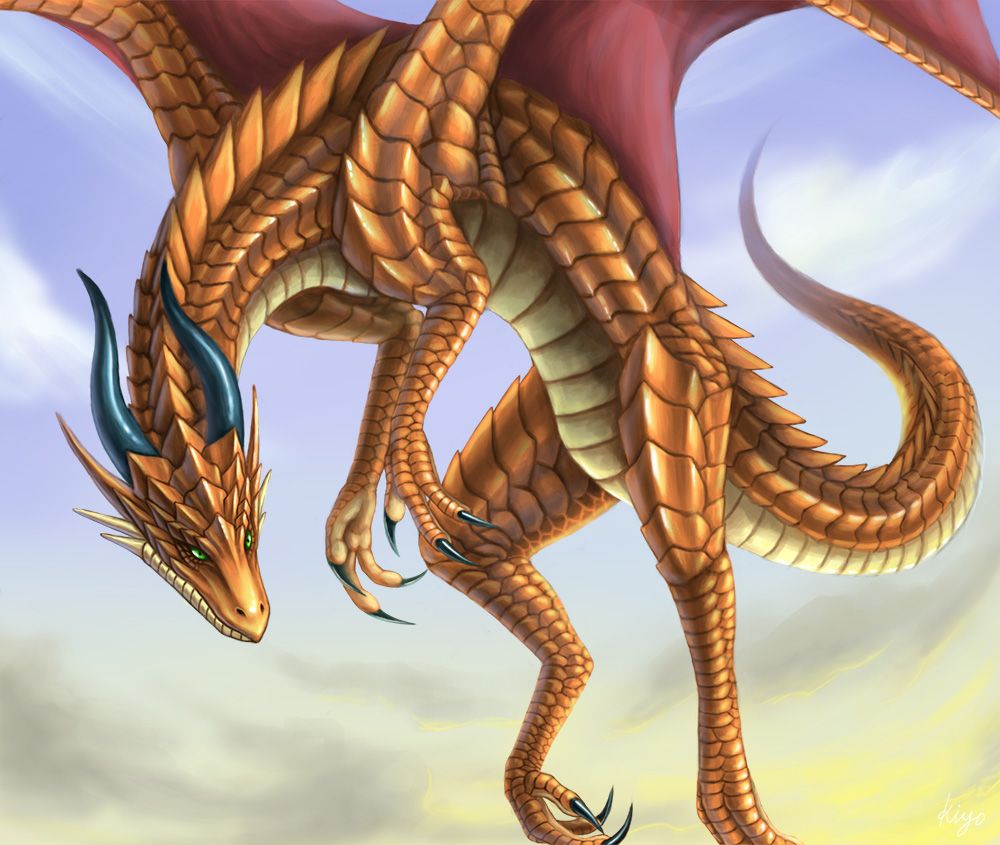 オレンジドラゴン