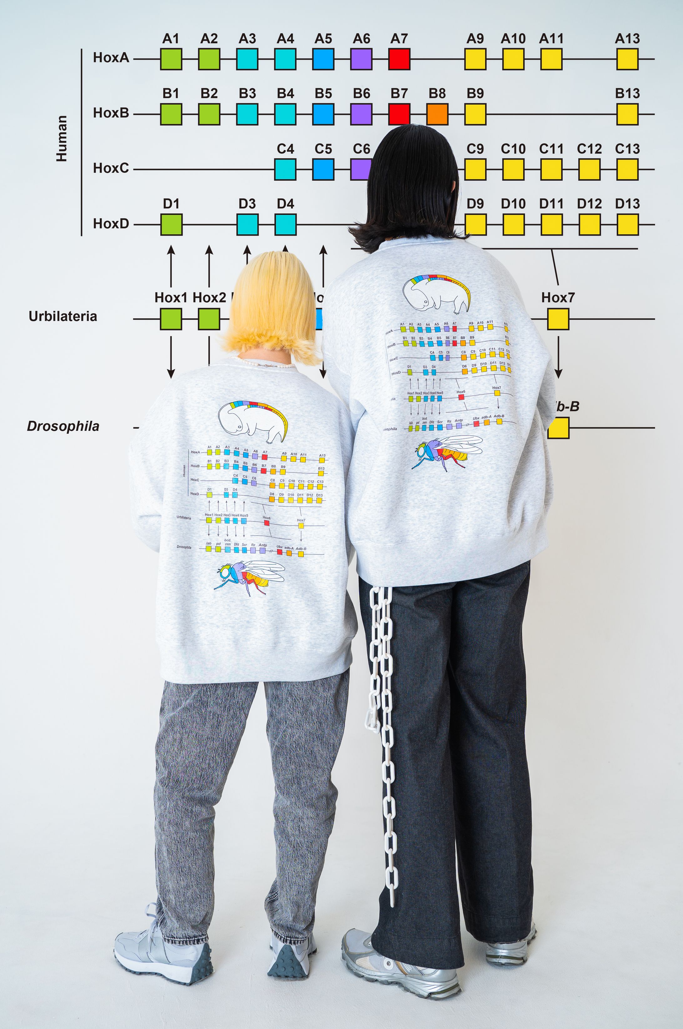 Littermate 2022/春 - Homeobox Sweatshirt-1