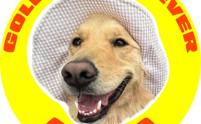 【実績】CORO名刺