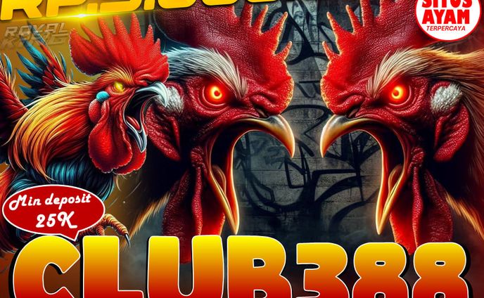 DAFTAR SITUS SABUNG AYAM ONLINE CLUB388 |PROMOSI BONUS WIN STRIKE 7x BERUNTUN 
