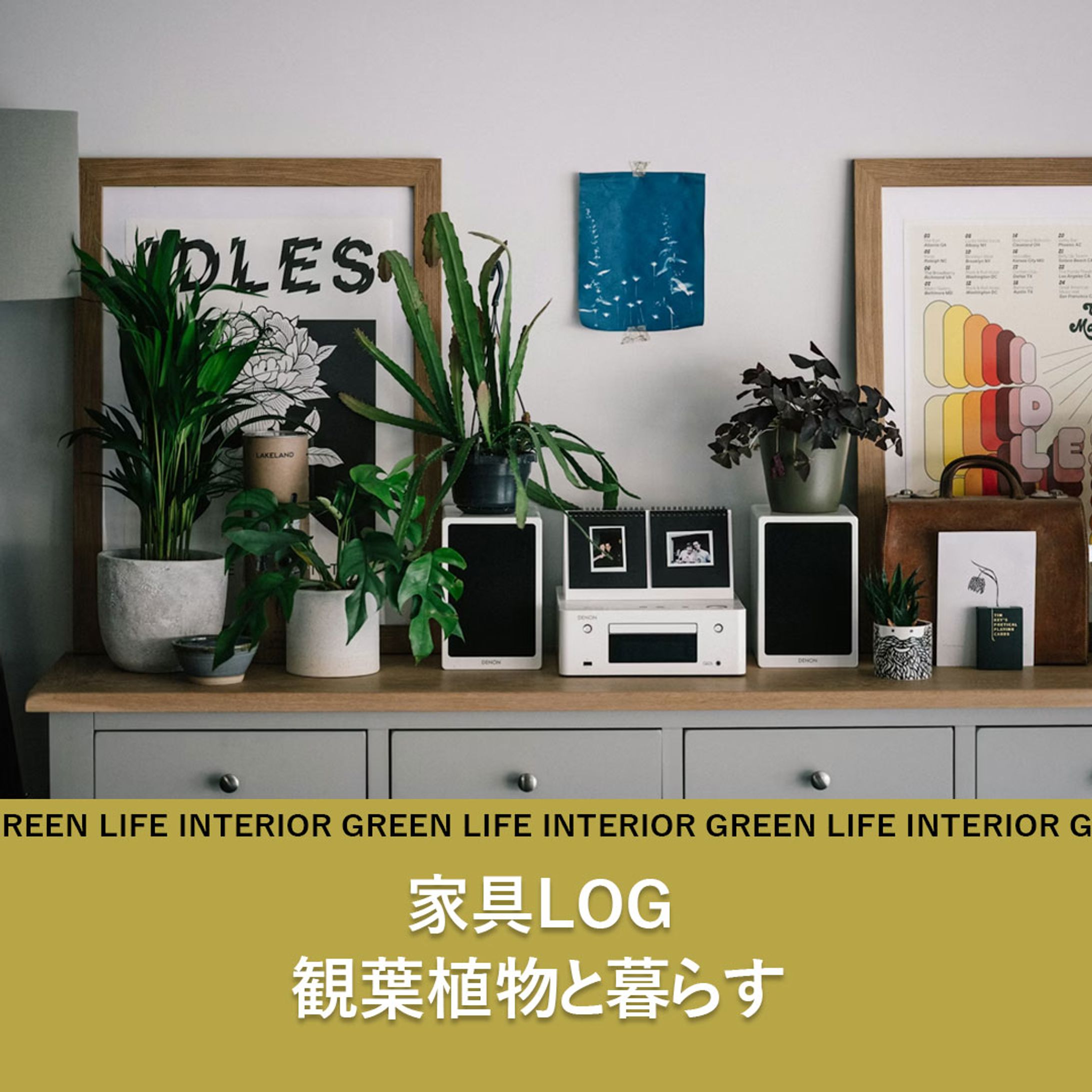 観葉植物と暮らす（1080×1080）-1