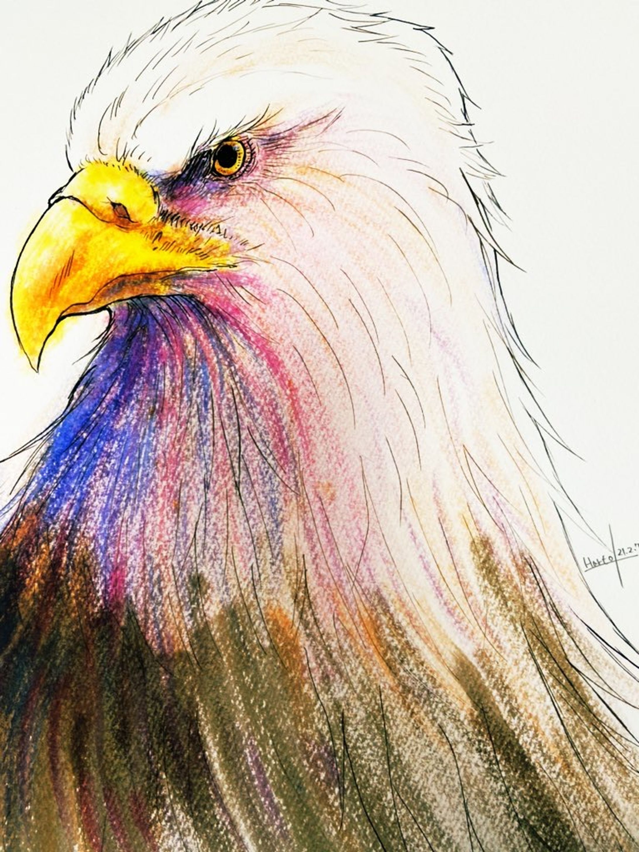 過去絵　鳥-1