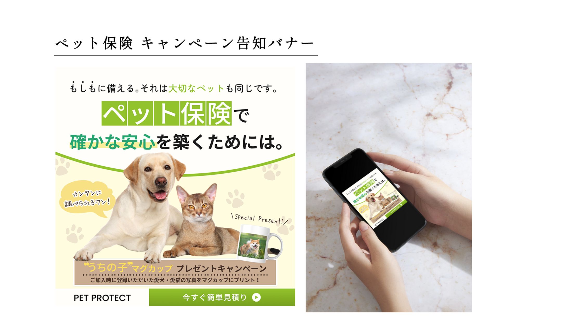 バナー：ペット保険-1