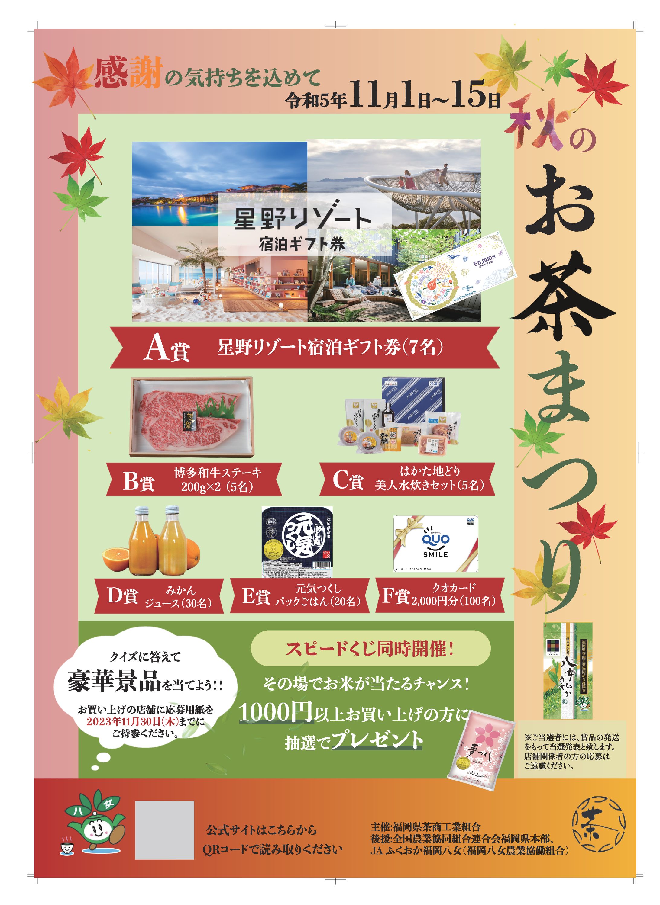 キャンペーンフライヤー-1