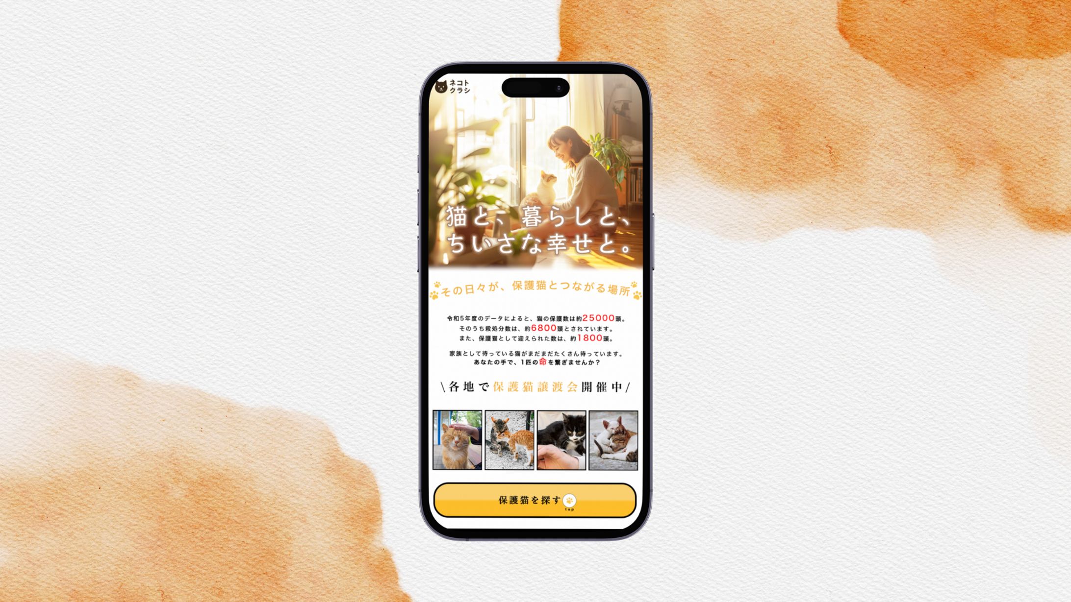 LPデザイン　保護猫-1