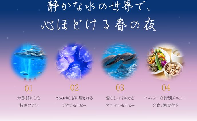 【春の眠り】水族館で眠る、癒しの夜 ～ナイトアクアリウム～