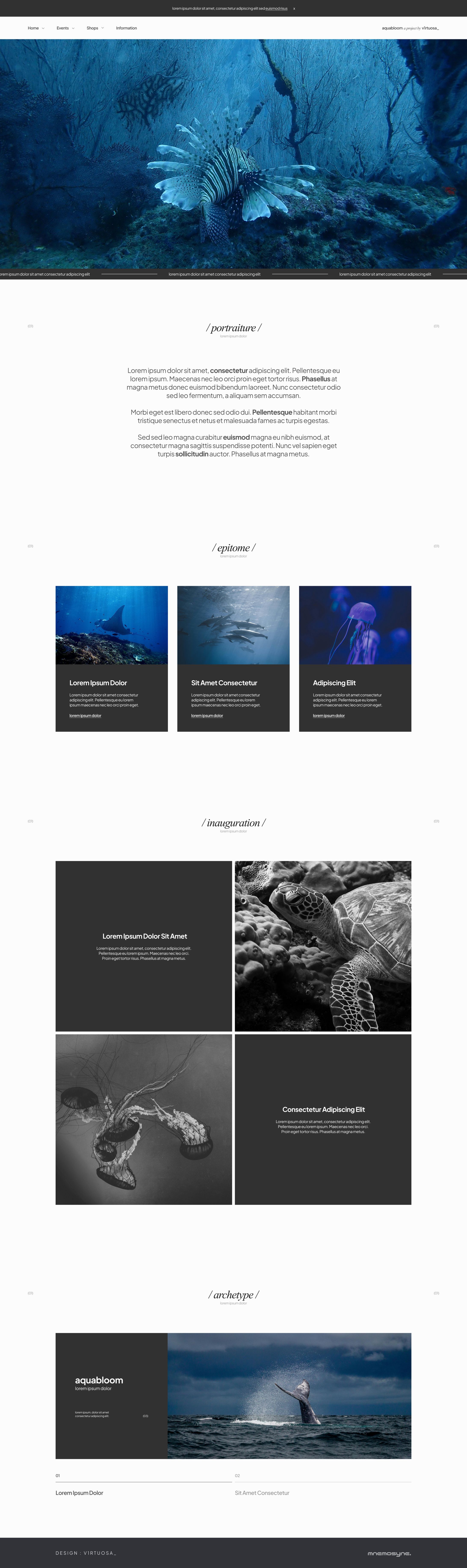 aquabloom-1