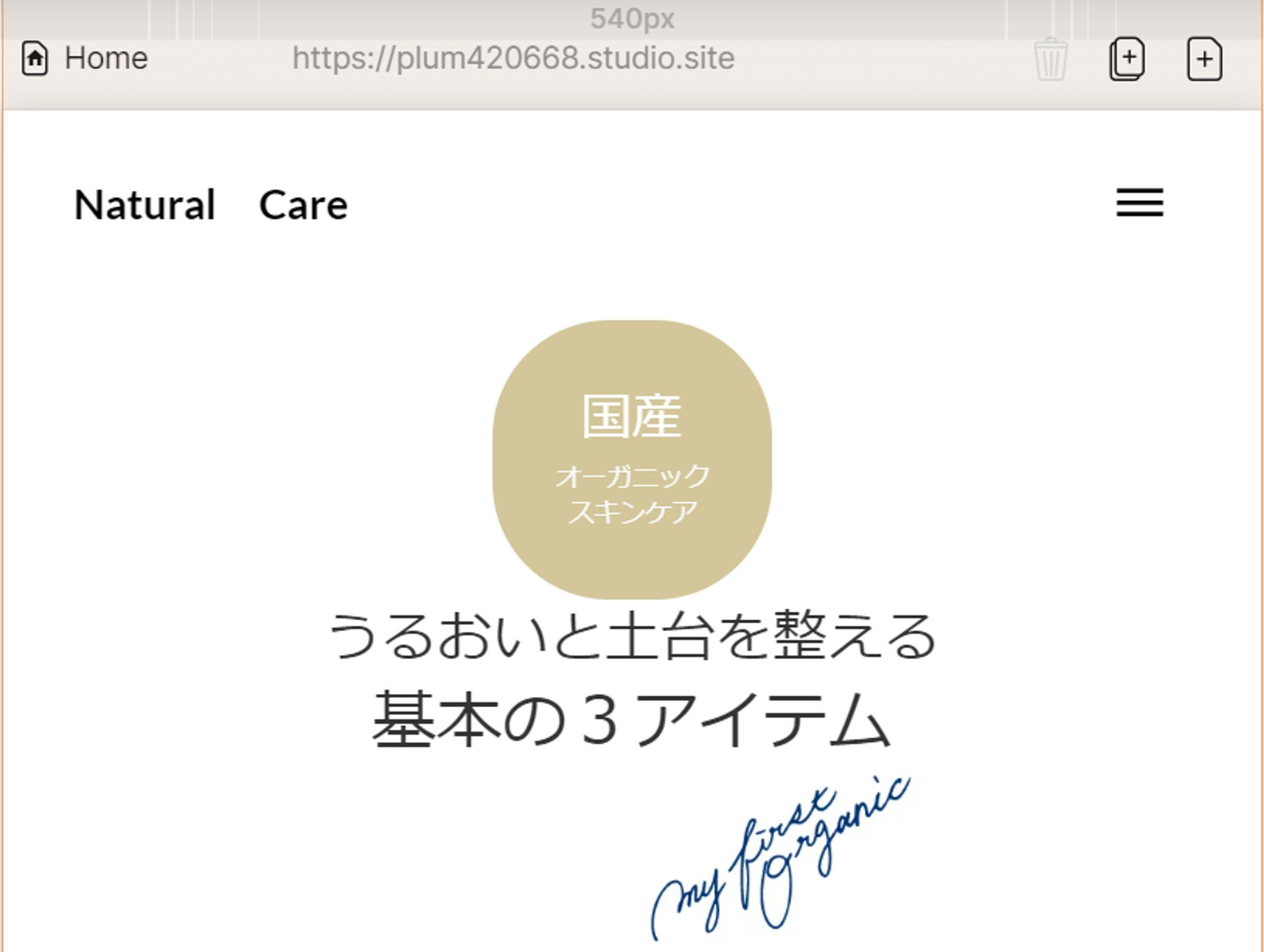 スキンケア商品 LP Natural Care-1