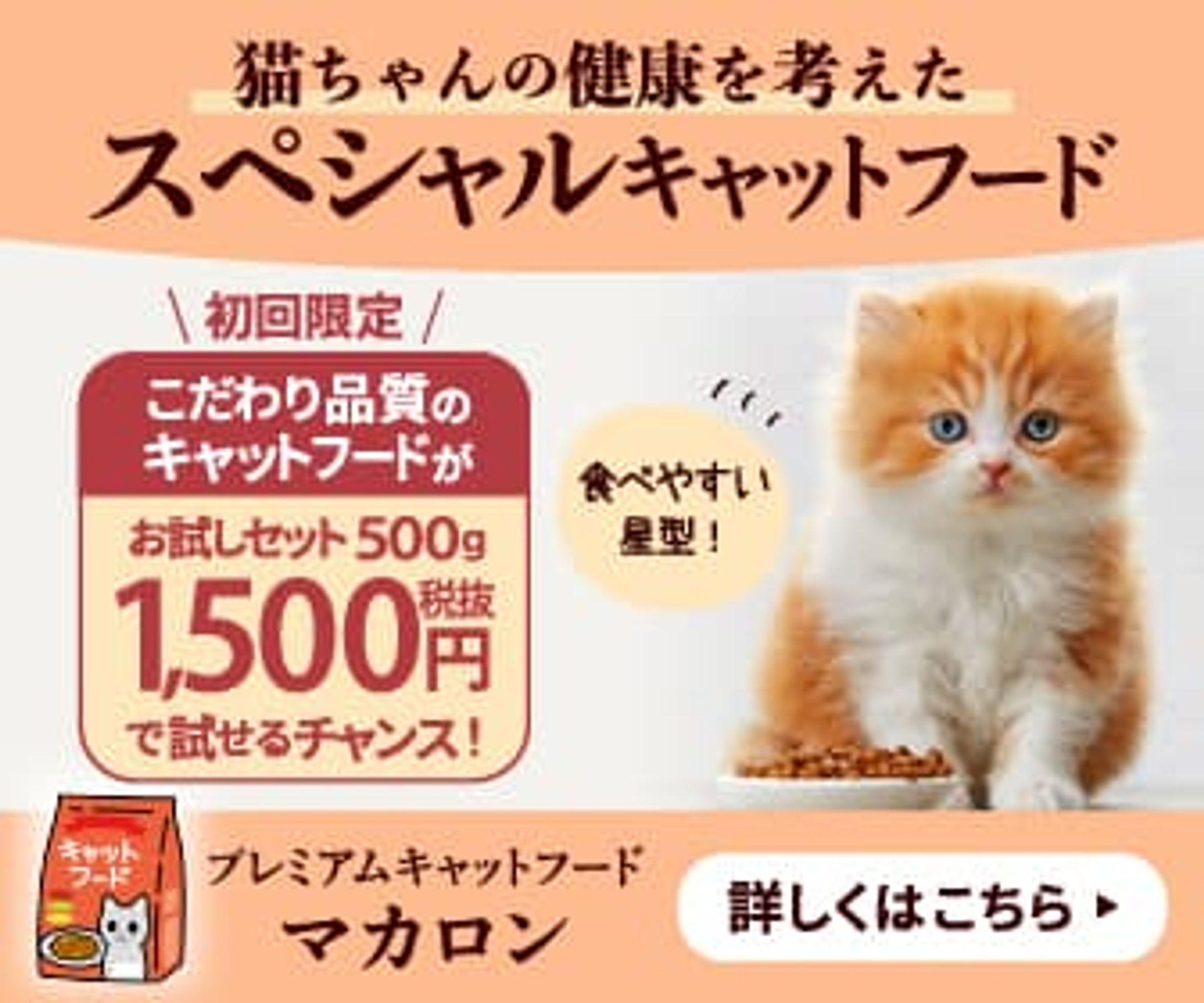 キャットフードバナー-1