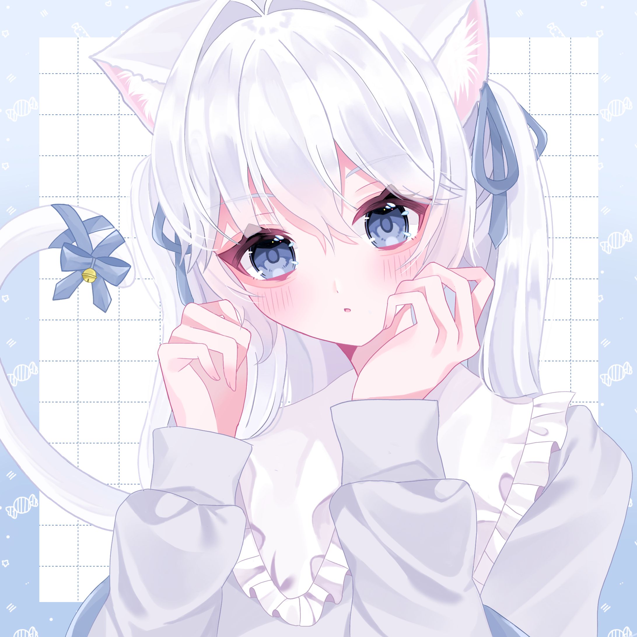 猫-1