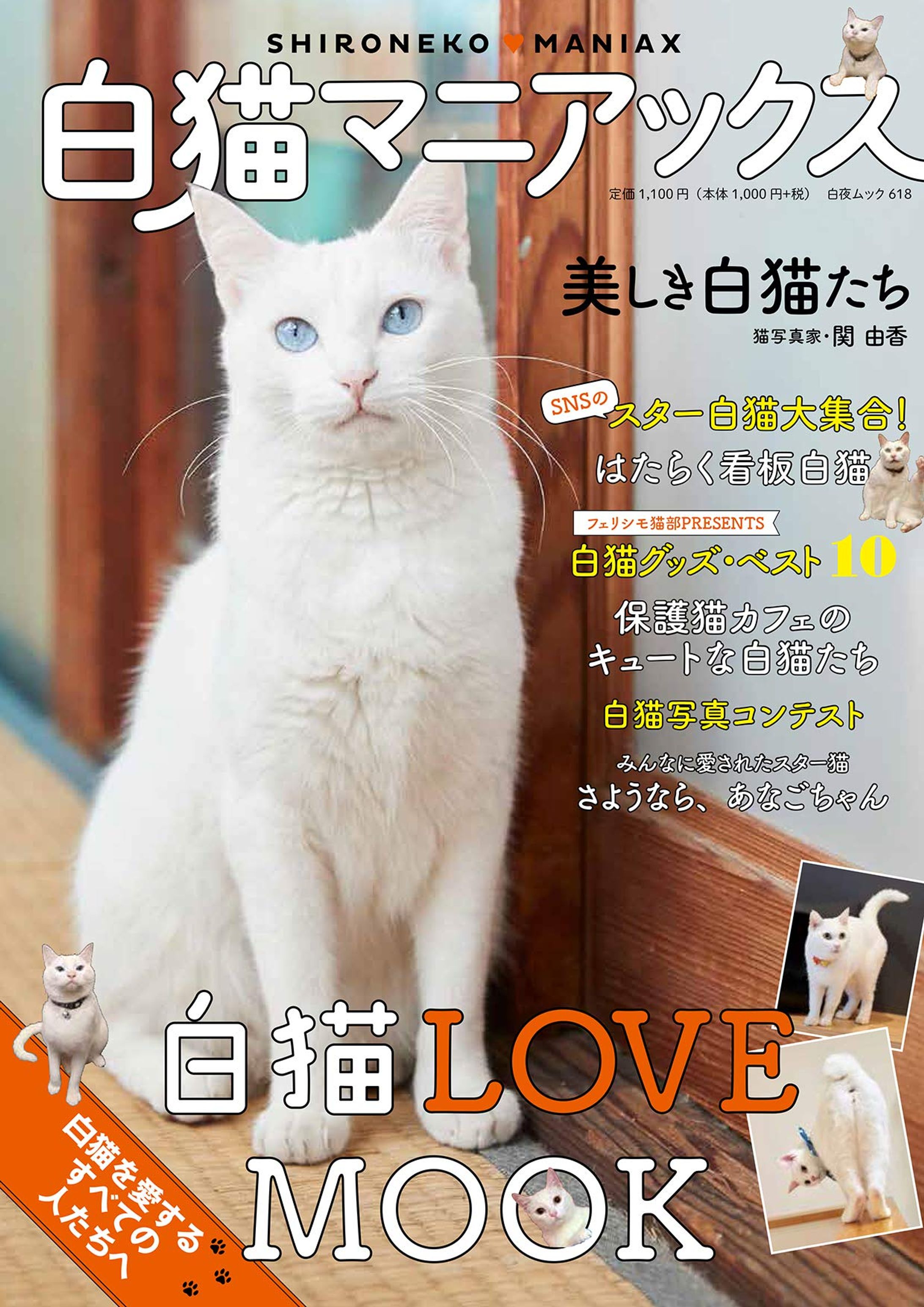 Magazine：White Cat Maniacs / 白猫マニアックス-1