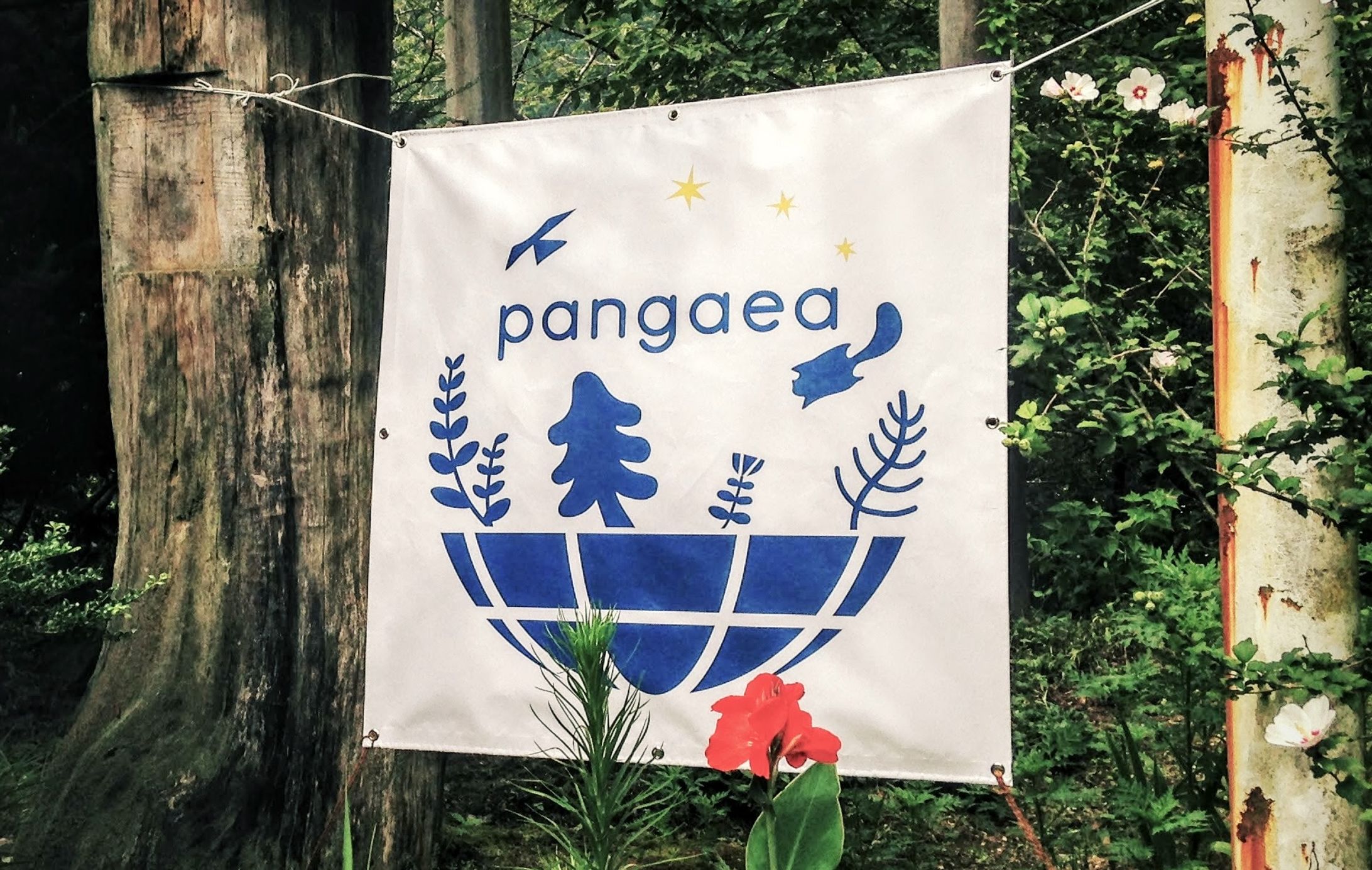 pangaea field様 ロゴ-1