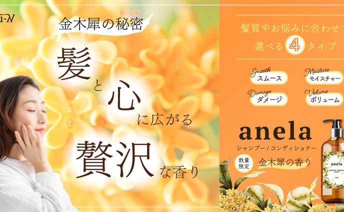 ロゴデザイナー、パンフレット