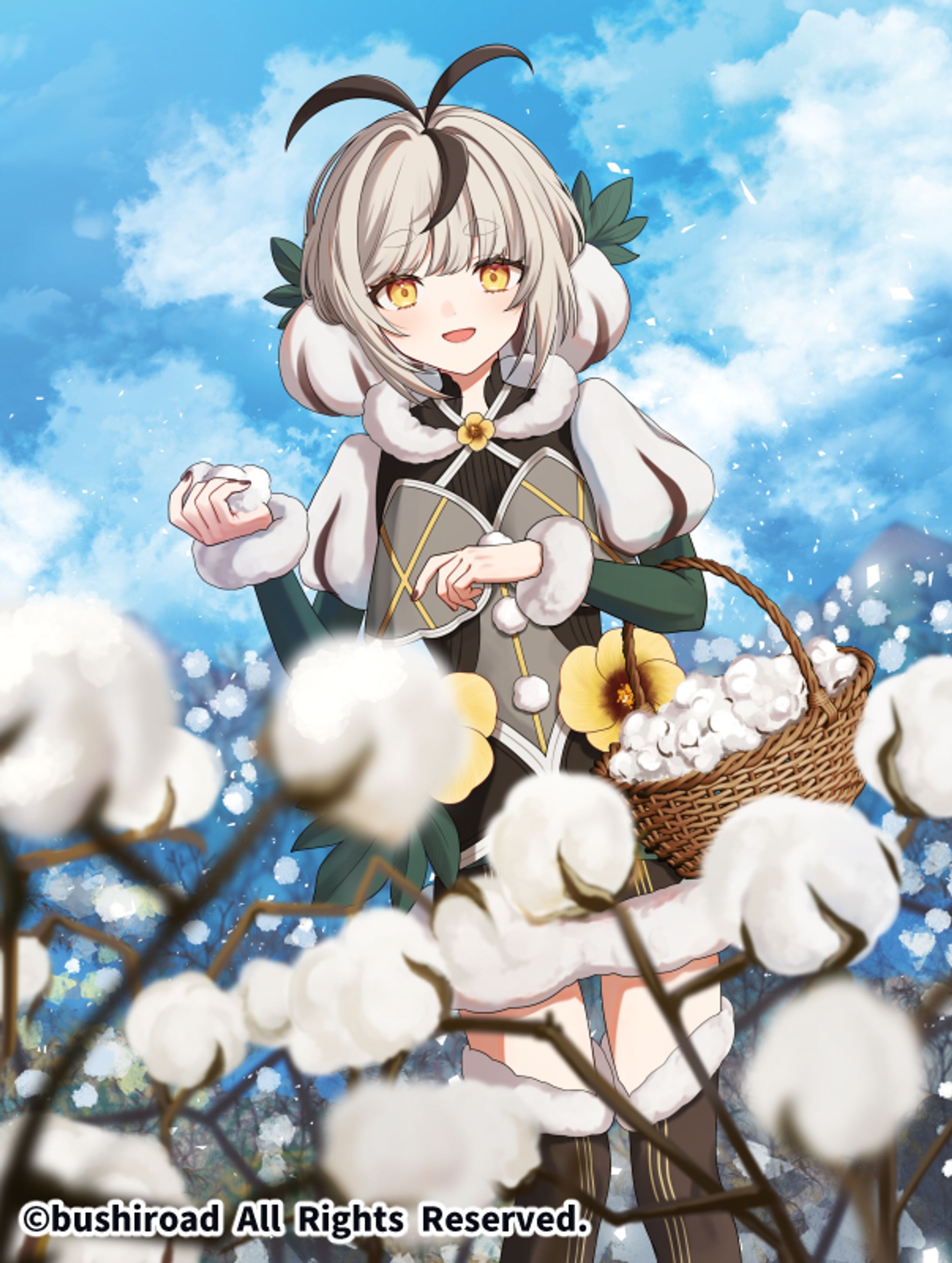 ラップフラフィー シッピィ-1