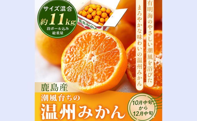 ECサイト：ふるさと納税