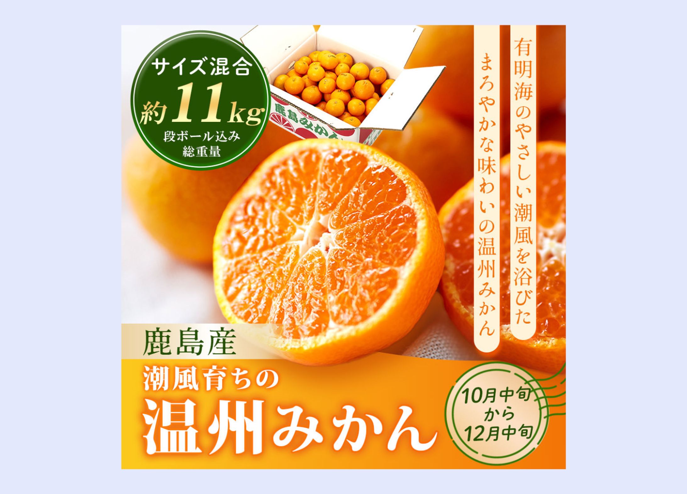 ECサイト：ふるさと納税-1