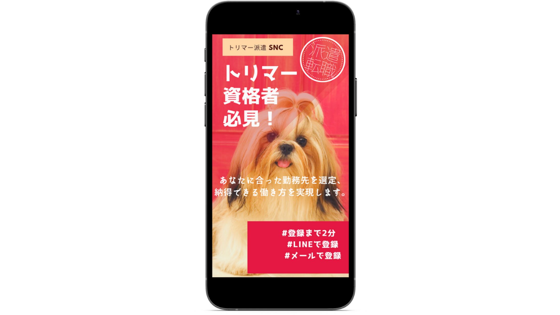 トリマー求人サイトのストーリーズ広告②-1