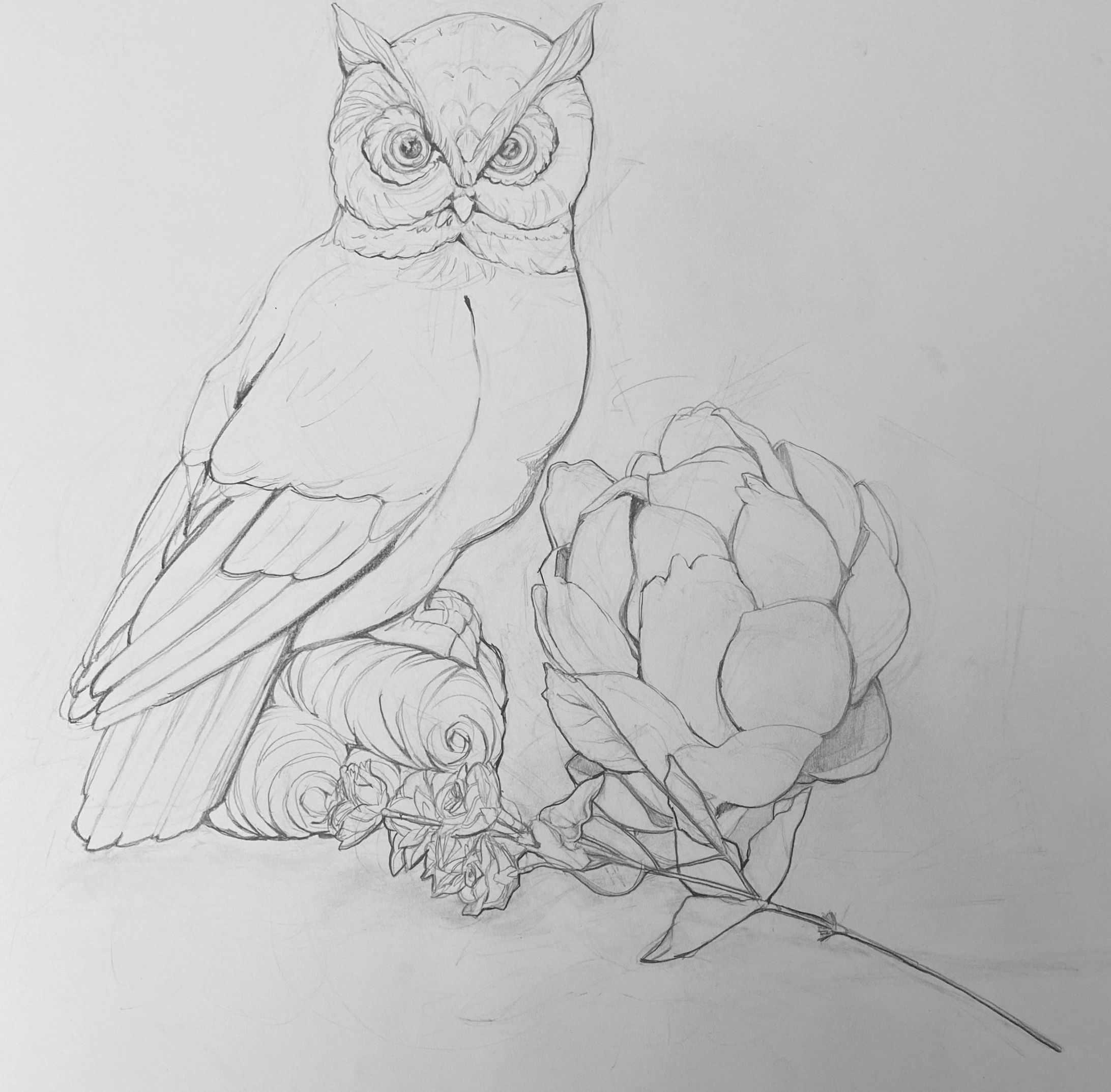 Contour-1