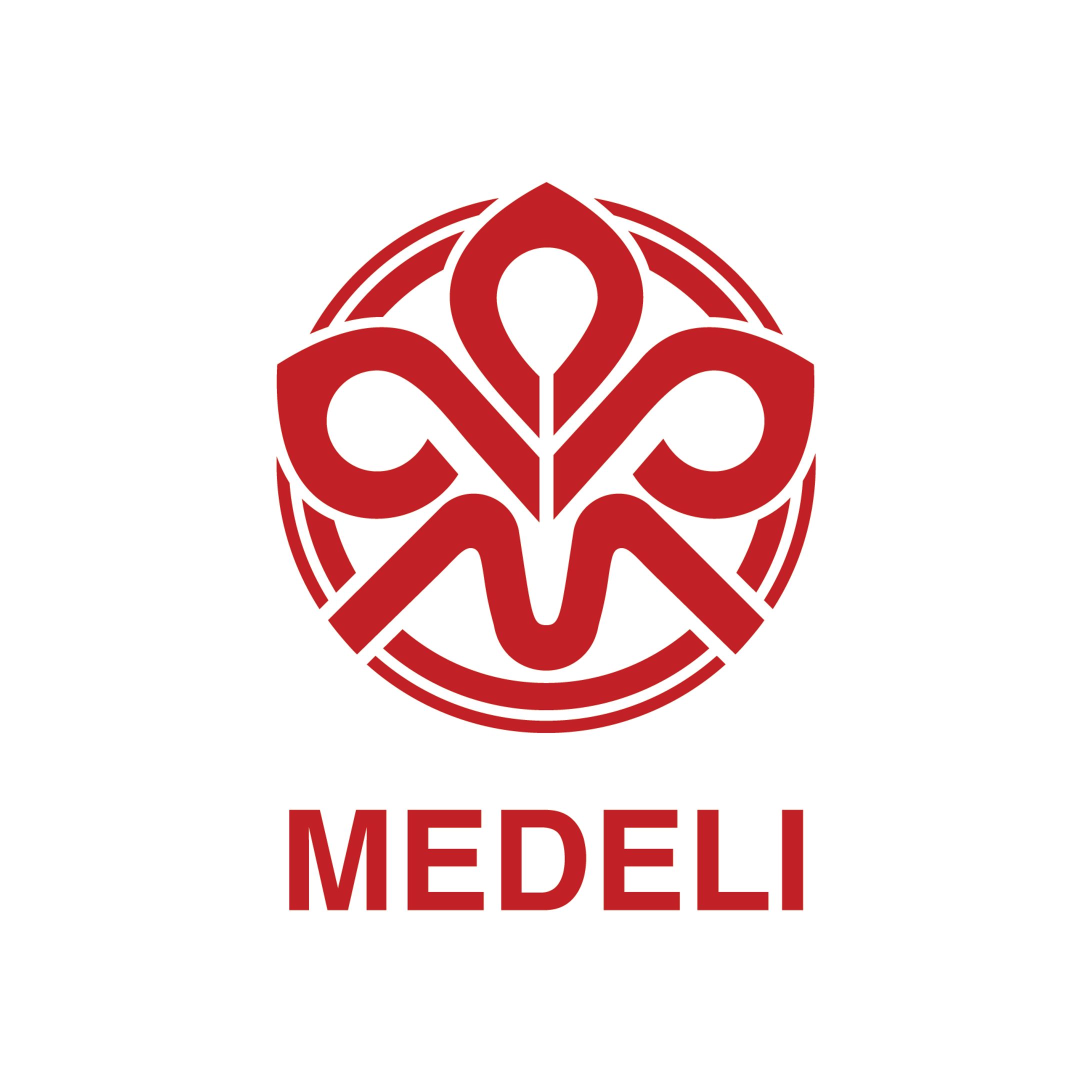 medeli logo 1983-1