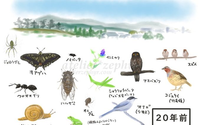 たべもの、ep