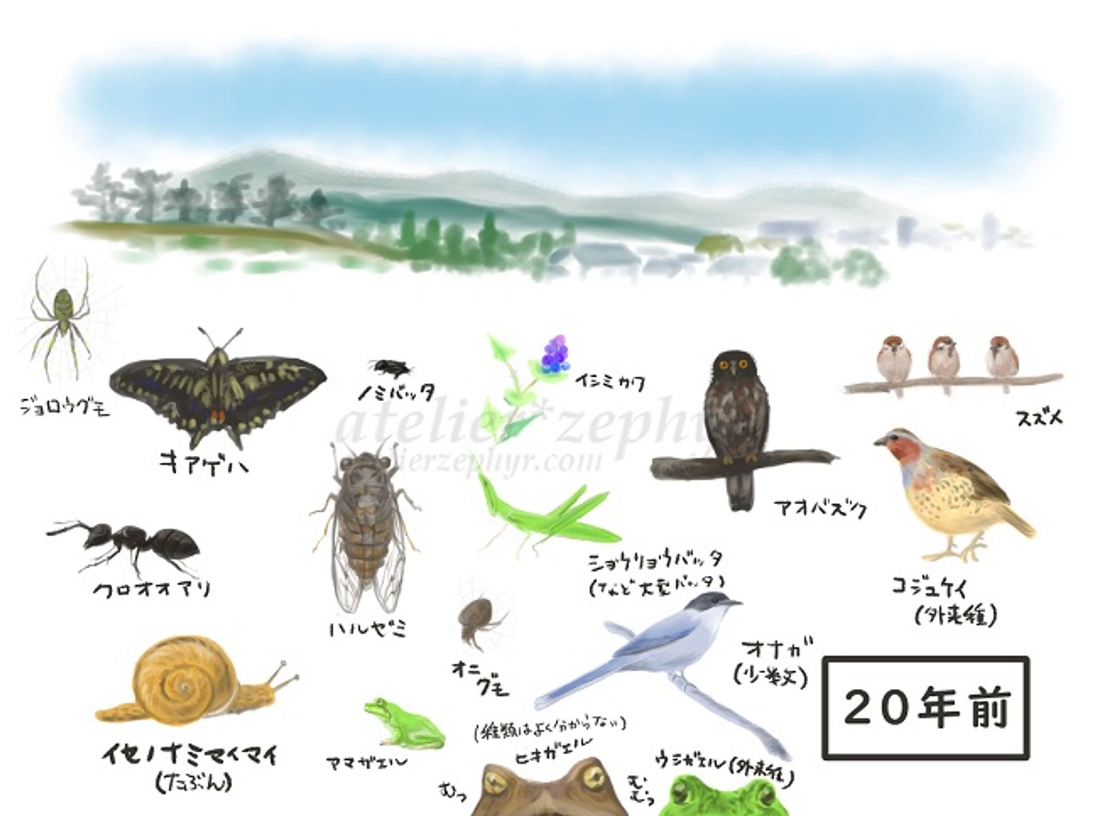 連作「いきものの変化　20年」-1