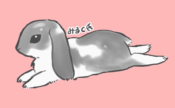 動物