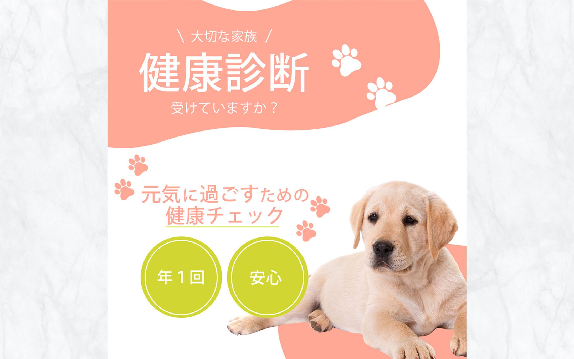  案件／バナー（ペット健康診断）-1