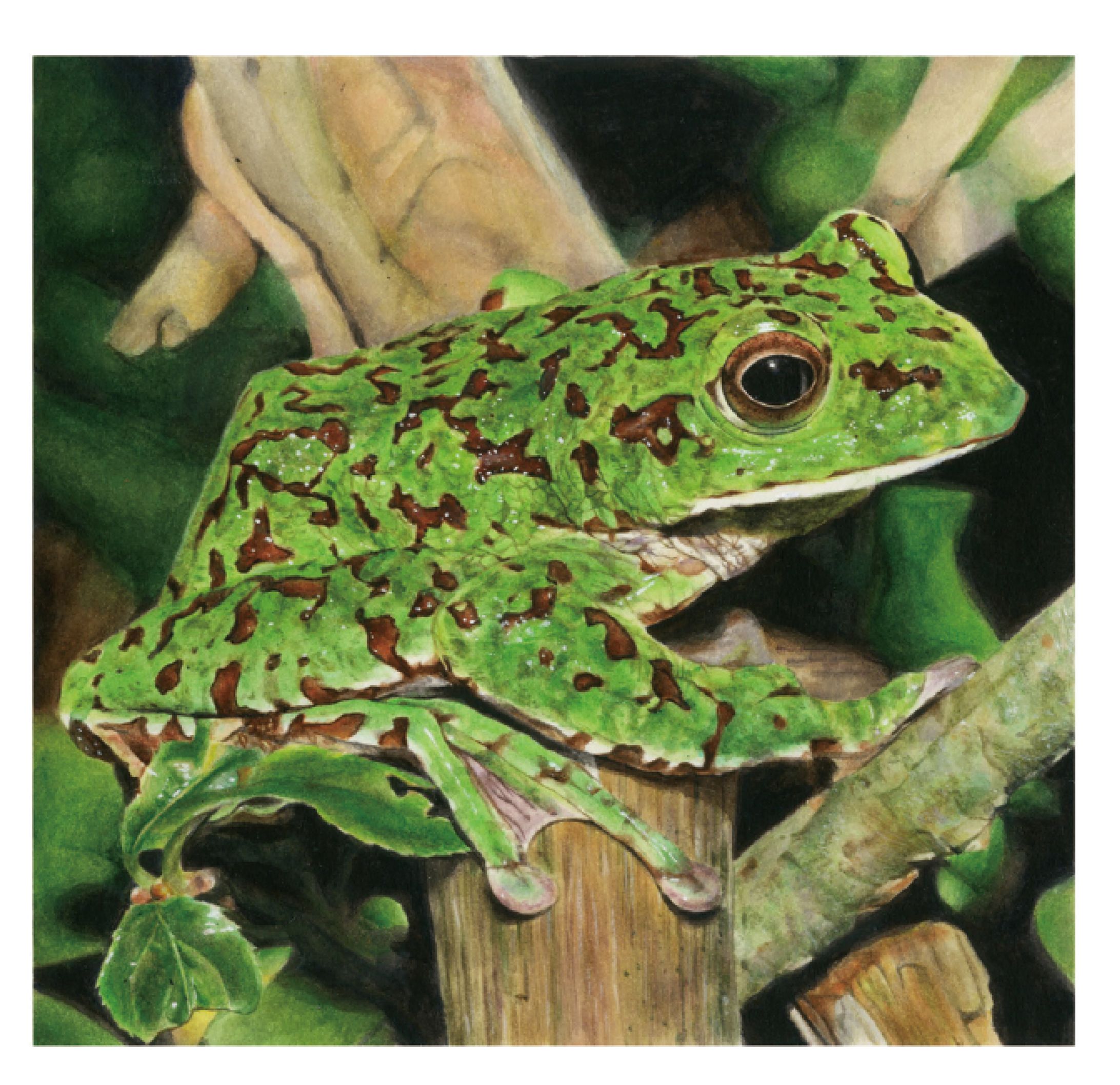 リアルイラスト-1