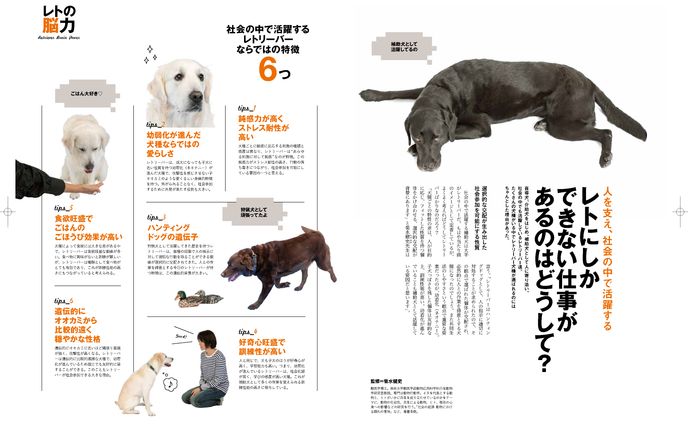 レトにしかできない仕事があるのはどうして？