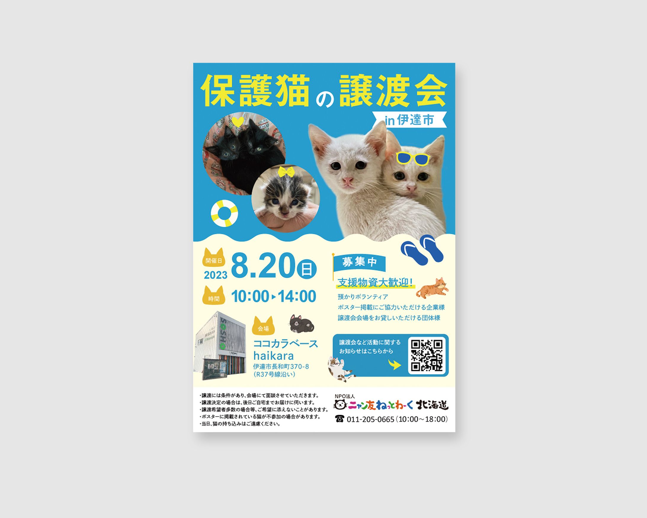 【実績】保護猫の譲渡会ポスター（2023年8月）-1
