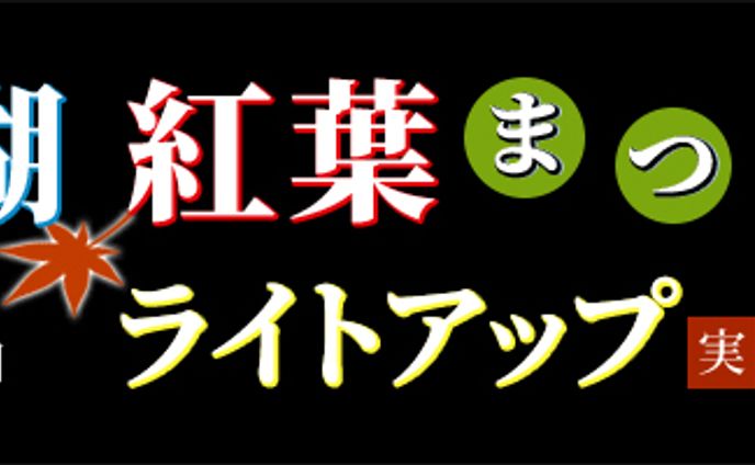 バナー：紅葉ライトアップ