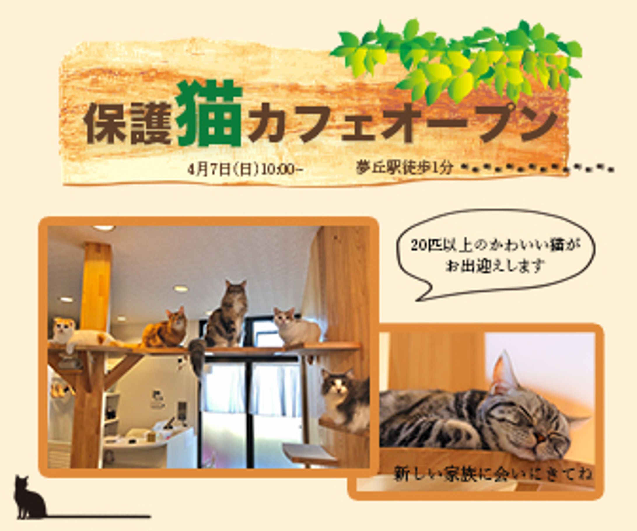 保護猫カフェオープン(336px×280px)-1